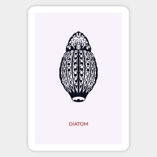 Diatom Sticker